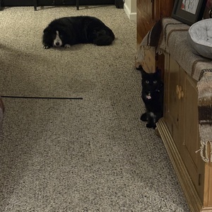 Fundraising Page: Jay Mason